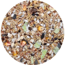 MIXERAMA PURE NATURE REINE SAATEN KARMA DLA SZCZURA 500g